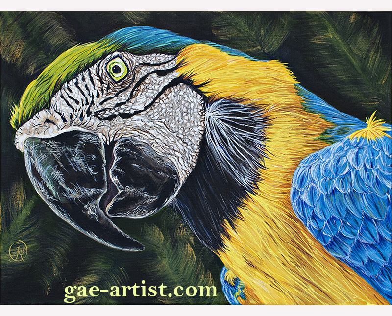 Blue Macaw acrylic painting