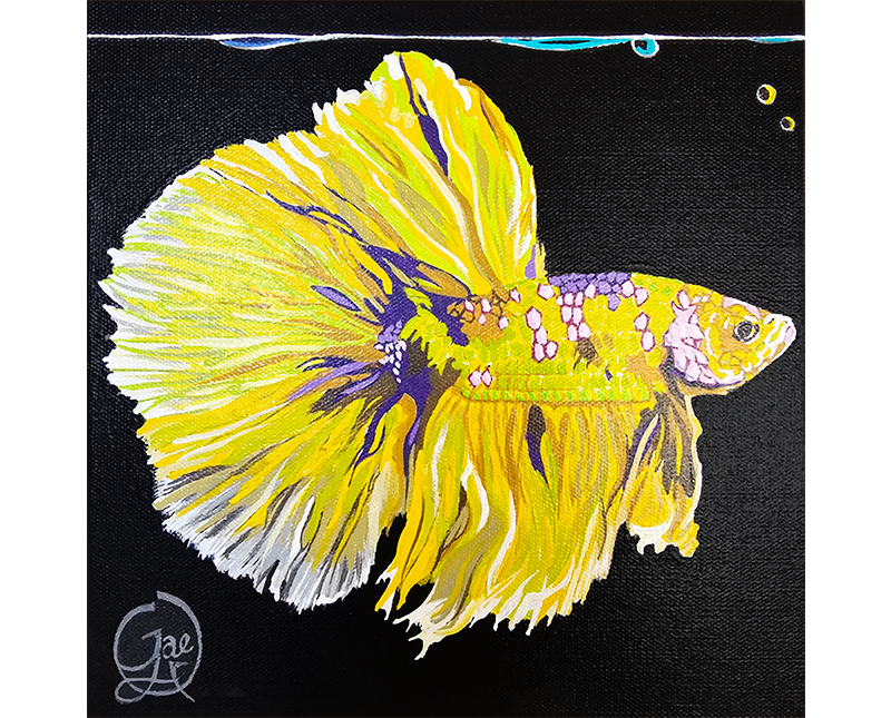 Betta fish acrylic painting