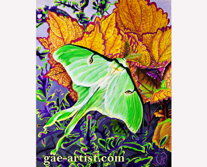 Luna Moth acrylic painting