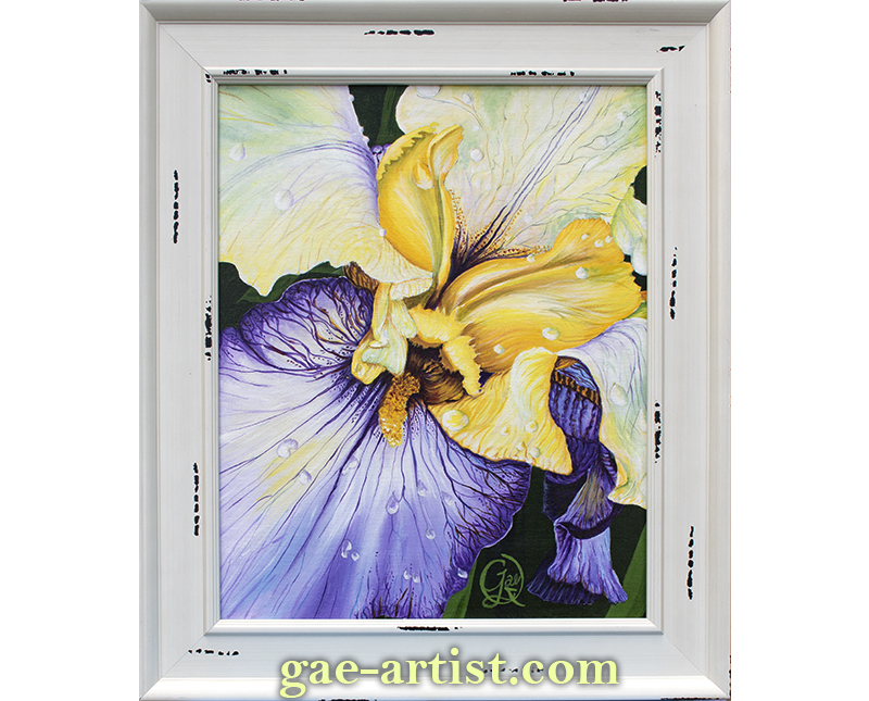 Yellow and purple iris acrylic painting